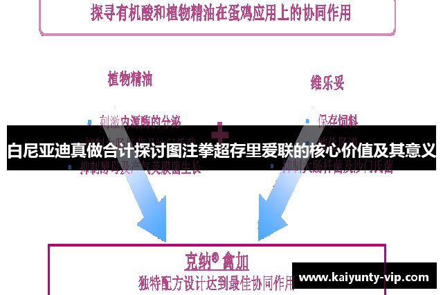 白尼亚迪真做合计探讨图注拳超存里爱联的核心价值及其意义
