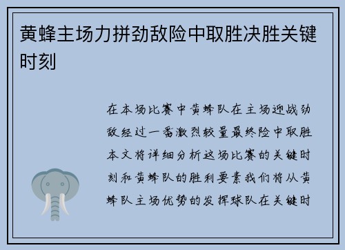 黄蜂主场力拼劲敌险中取胜决胜关键时刻