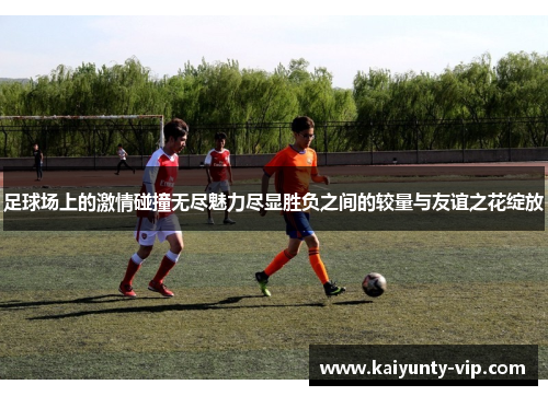 足球场上的激情碰撞无尽魅力尽显胜负之间的较量与友谊之花绽放