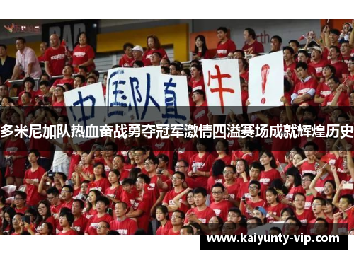 多米尼加队热血奋战勇夺冠军激情四溢赛场成就辉煌历史