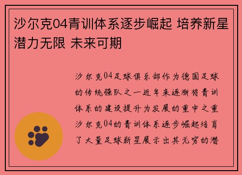 沙尔克04青训体系逐步崛起 培养新星潜力无限 未来可期