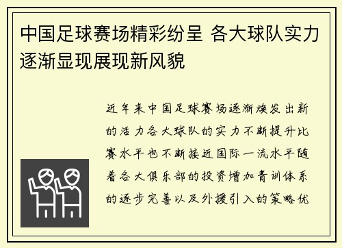 中国足球赛场精彩纷呈 各大球队实力逐渐显现展现新风貌
