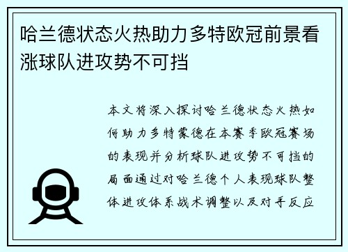 哈兰德状态火热助力多特欧冠前景看涨球队进攻势不可挡
