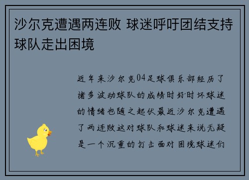沙尔克遭遇两连败 球迷呼吁团结支持球队走出困境